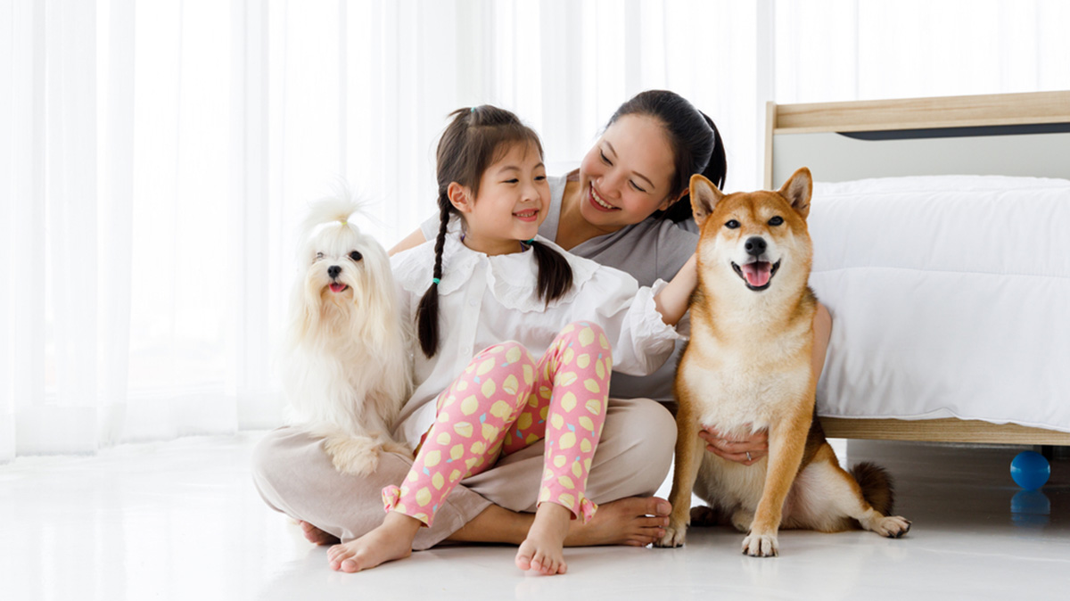 A Family In A Pet Friendly Condo