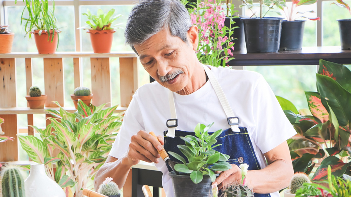 Planting Is One Of The Lifetime Care Activities At The Aspen Tree In Thailand